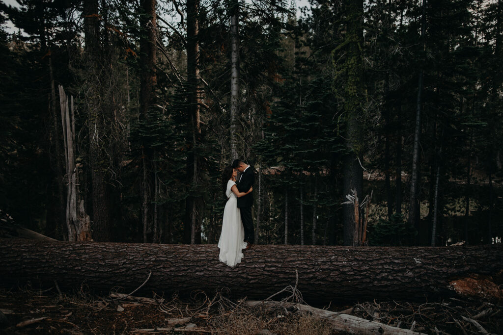 Exchange your vows amongst the Redwoods of California