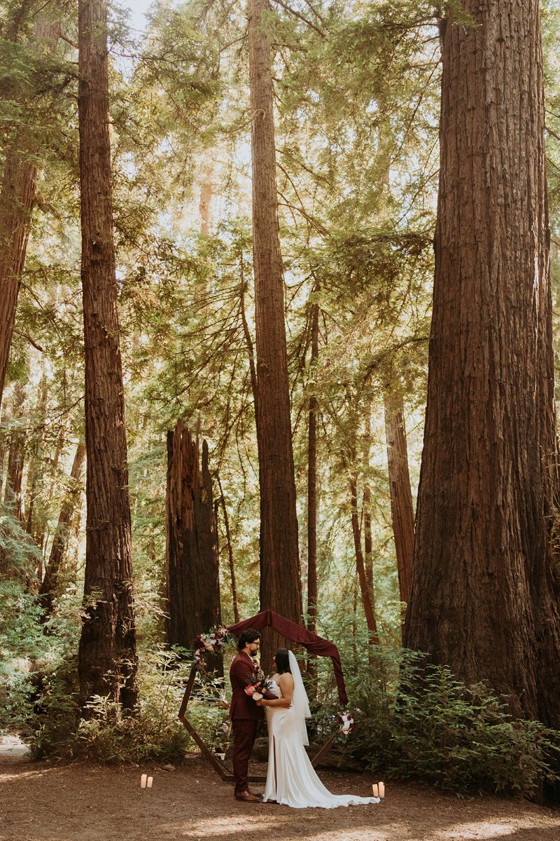 A woman in a white dress looking at her partner who is wearing a maroon suit they are at the Redwoods in California 