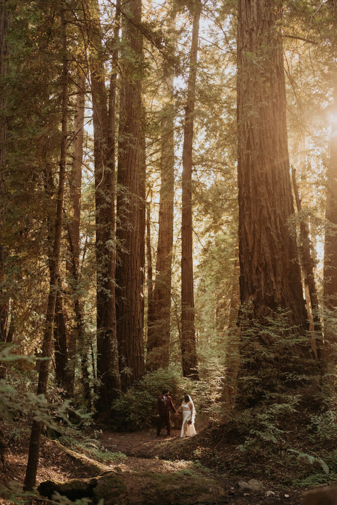 A newlywed couple holding hands and walking in the forest 